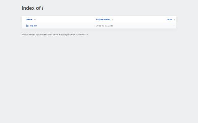 Homepage of activapaincenter.com
