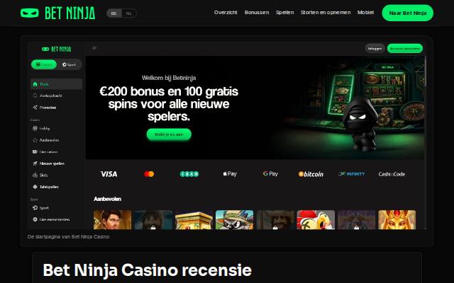 Homepage of betninjacasinonl.com