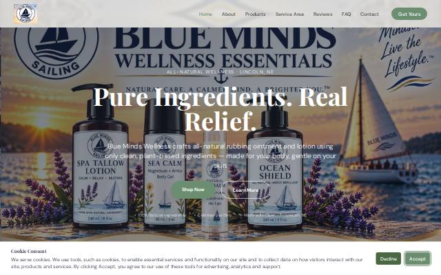 Homepage of bluemindswellness.com