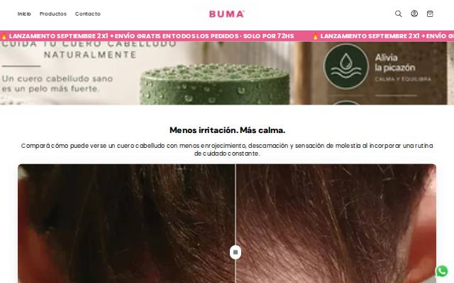 Homepage of bumaargentina.com