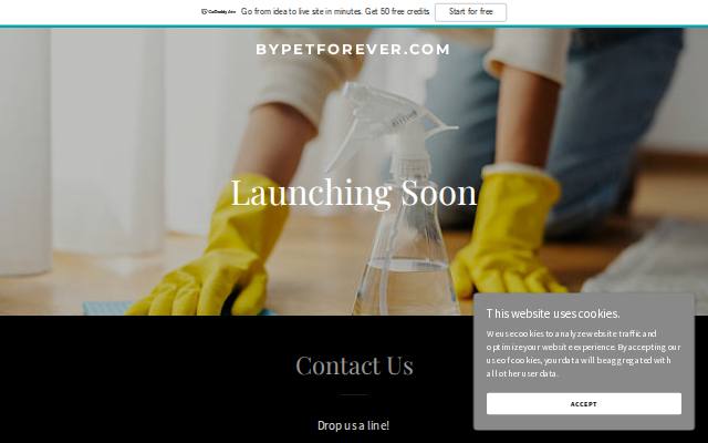 Homepage of bypetforever.com