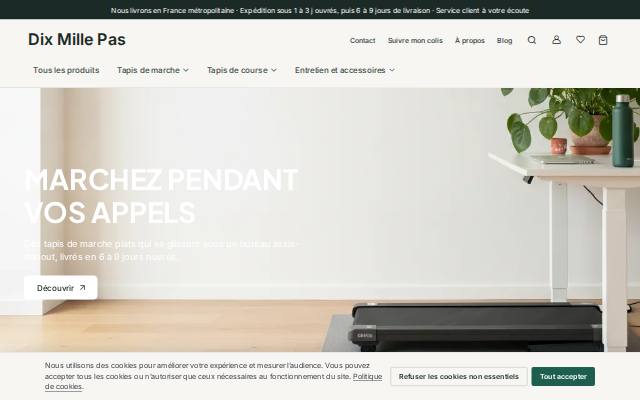 Homepage of dixmillepas.com