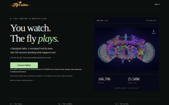 Homepage of flycasino.fun