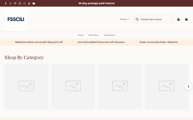 Homepage of fsscili.com