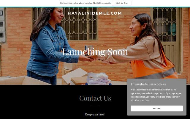 Homepage of hayalinidemle.com