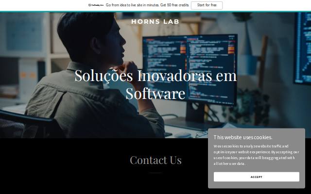 Homepage of hornslab.com.br