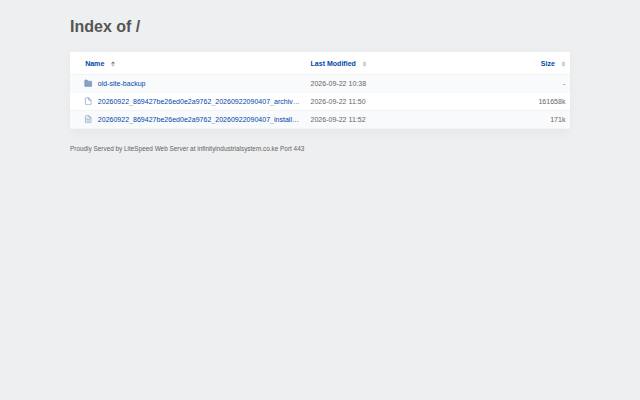 Homepage of infinityindustrialsystem.co.ke