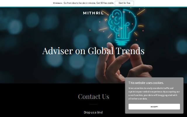 Homepage of mithrilinternational.org