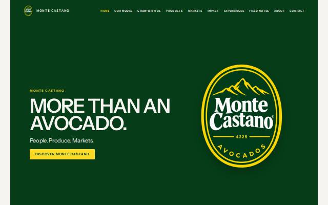 Homepage of montecastano.com