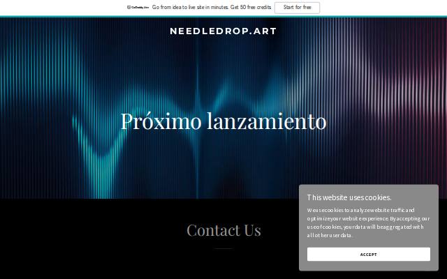 Homepage of needledrop.art