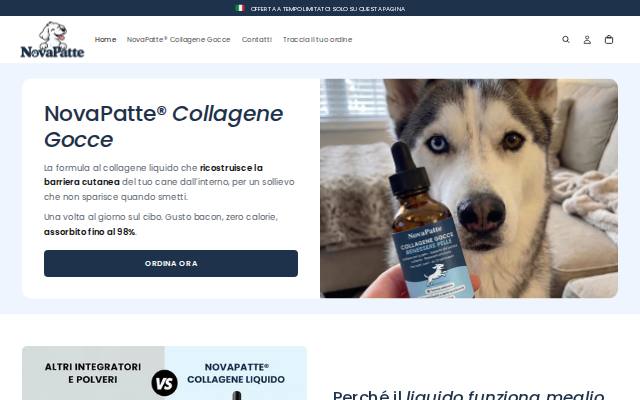 Homepage of novapatte.com