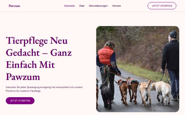 Homepage of pawzum.online