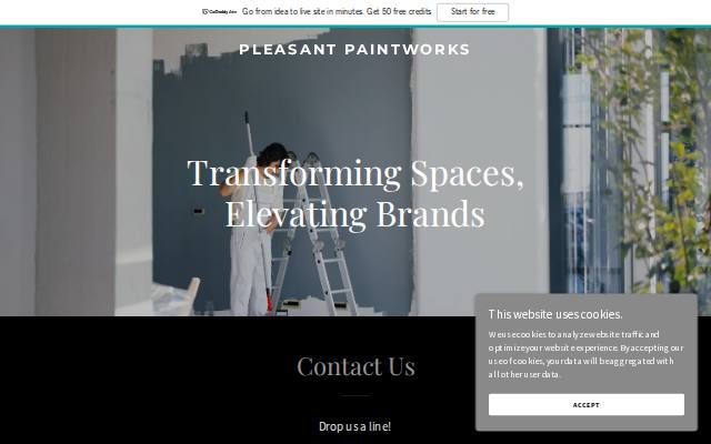 Homepage of pleasantpaintworks.com