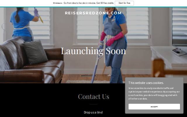 Homepage of reisersredzone.com