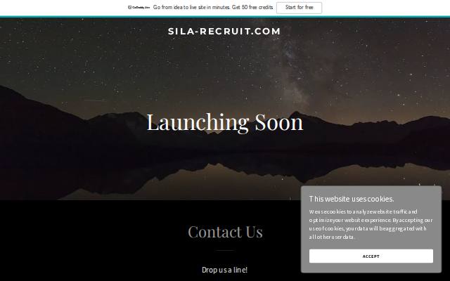Homepage of sila-recruit.com