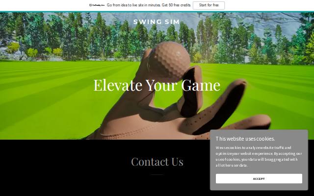 Homepage of swing-sim.com