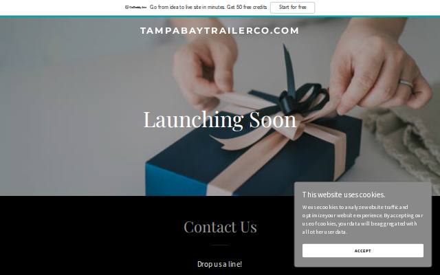 Homepage of tampabaytrailerco.com