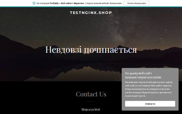 Homepage of testnginx.shop