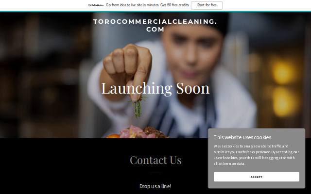 Homepage of torocommercialcleaning.com
