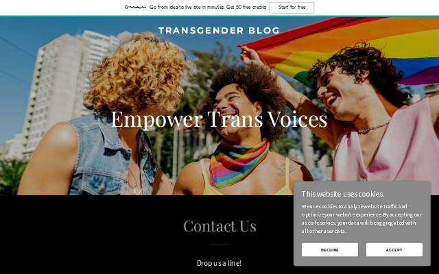 Homepage of transgenderhi.com
