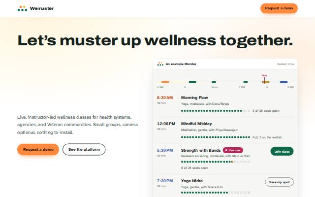 Homepage of wellnessmuster.com