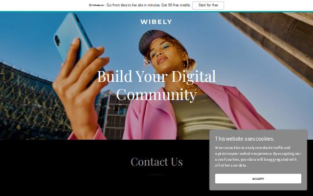 Homepage of wibe.to